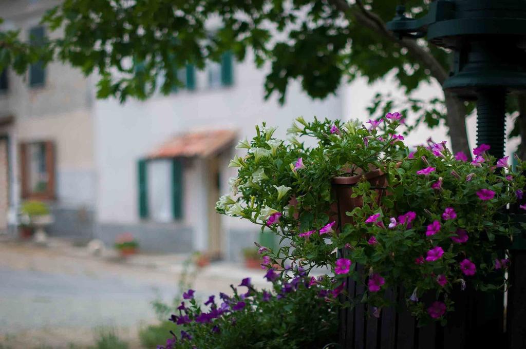 B&B Cascina Santa Gavi Luaran gambar