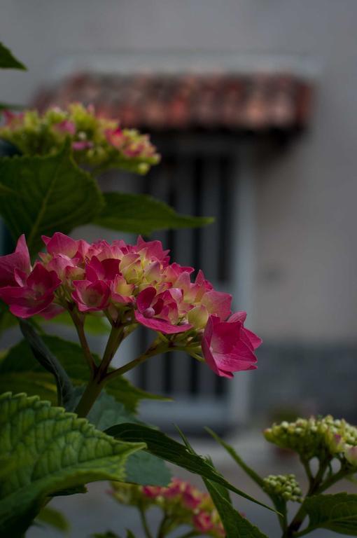 B&B Cascina Santa Gavi Luaran gambar