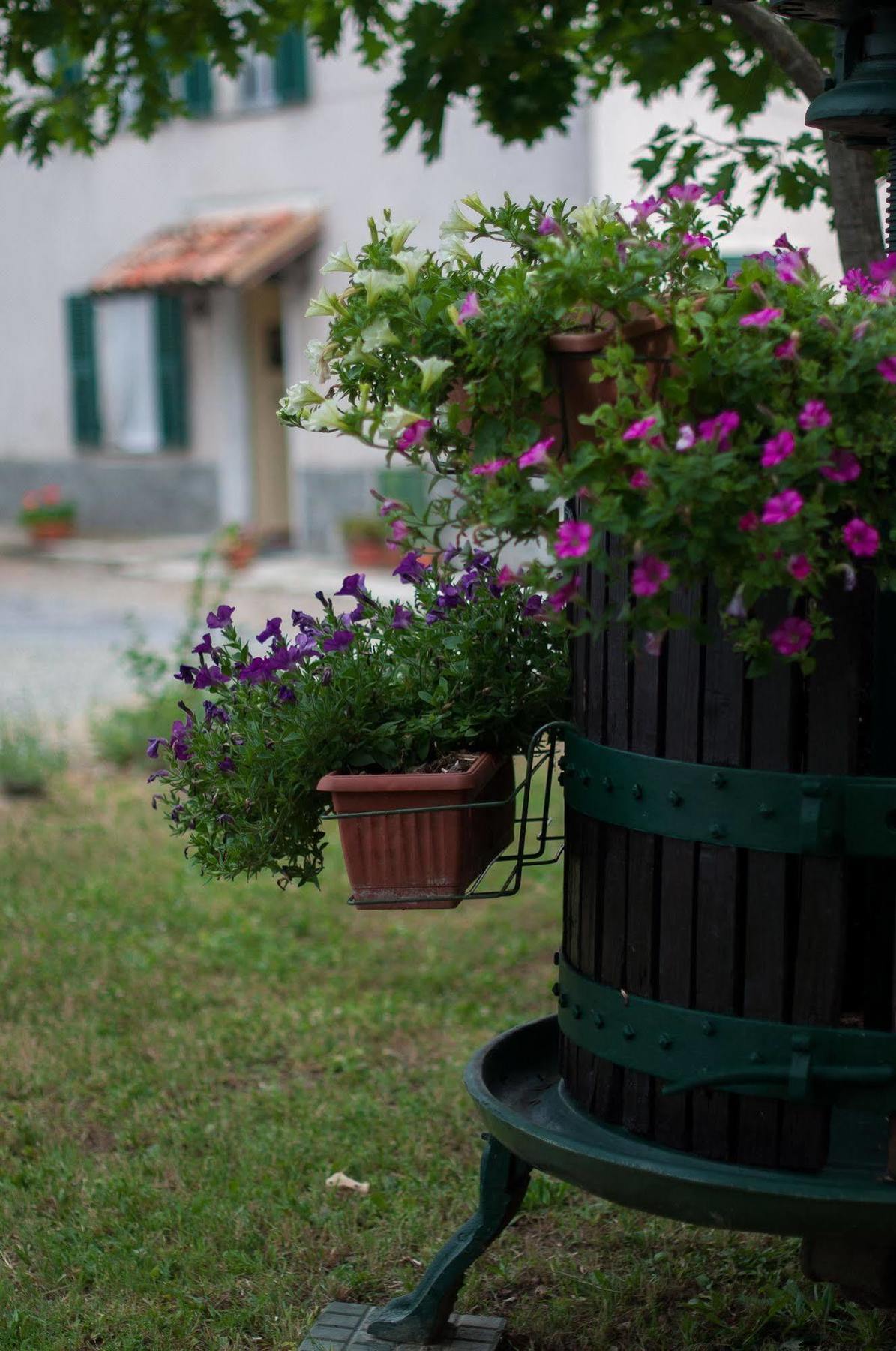 B&B Cascina Santa Gavi Luaran gambar